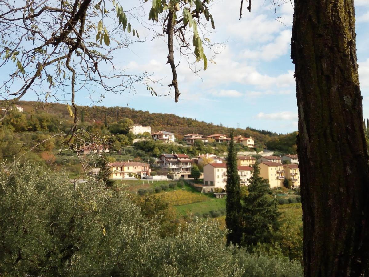 Panoramico10 Apartment With A View In Valpolicella SantʼAmbrogio di Valpolicella Eksteriør bilde